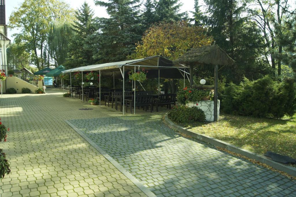 Jedlina